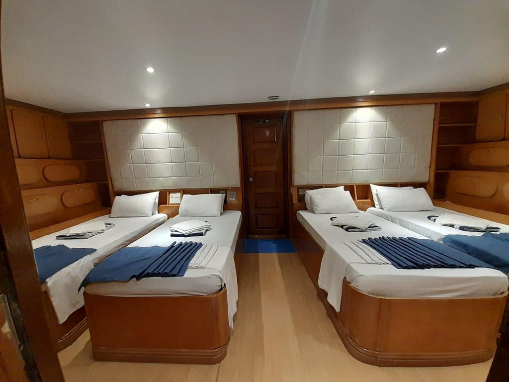 Family Cabin