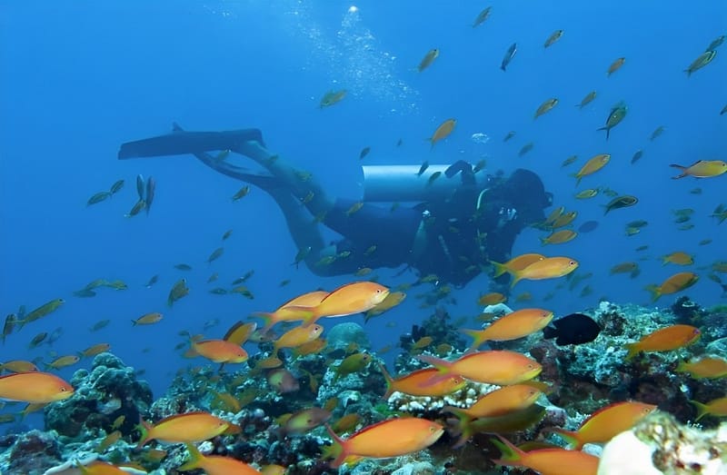 Rasdhoo Channel – Maldives