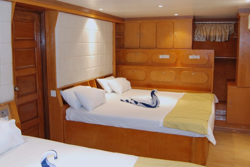 Family Quadruple Suit