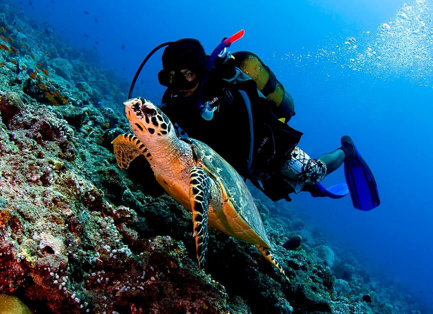 Diverse underwater world of Kakka Thila