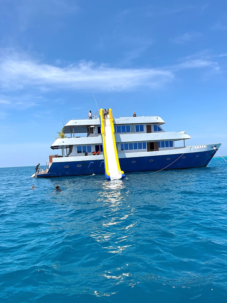 mv explore